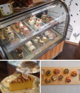 CAFE SUGI