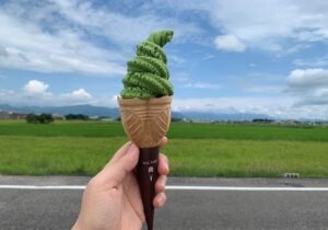 テイクアウト イシヨ